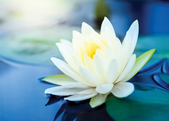 Bereavement Support Group