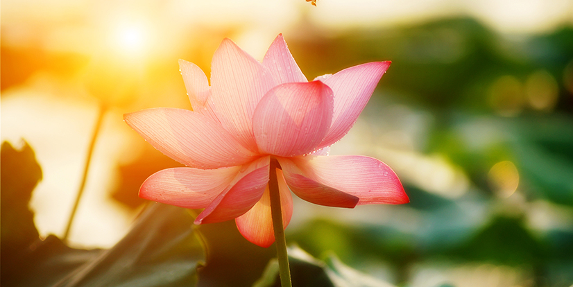 Gunnison Valley Health Hospice Celebration of Life